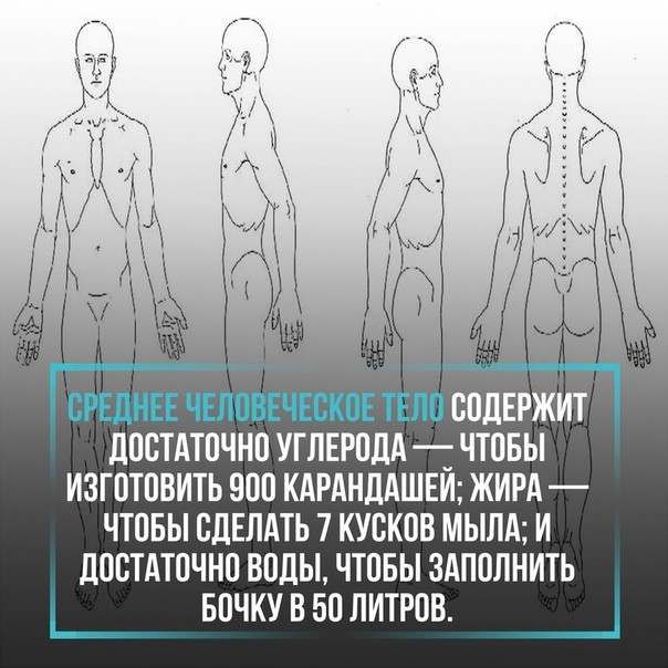 Тело содержать. В человеческом организме стих. Средне человеческий. В человеческом организме 90 стих. 1. Среднее человеческое тело содержит достаточно серы.