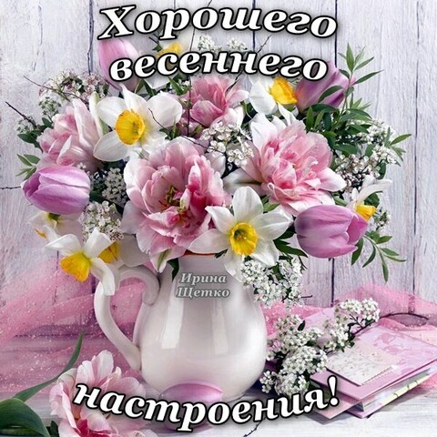 весеннее настроение. весенние открытки. открытки весеннего настроения. весеннего настроения и хорошего дня. открытки весенние с пожеланиями хорошего настроения.